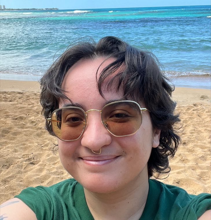 Aileen Marcano, who runs CoquiWeb, on a beach in Puerto Rico